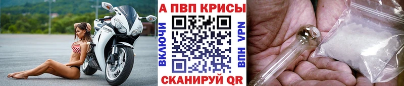 Купить  Белокуриха  Альфа ПВП VHQ 