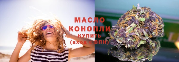 мдпв Каменка