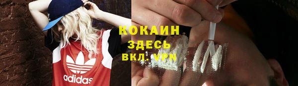 мдпв Каменка