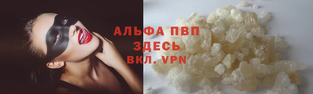 spice Каменногорск