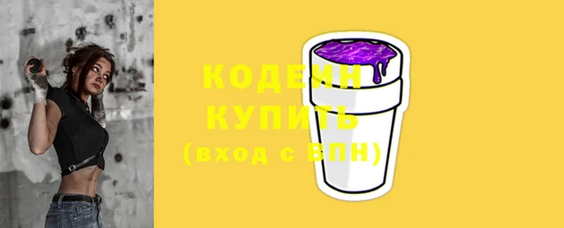 мдпв Каменка