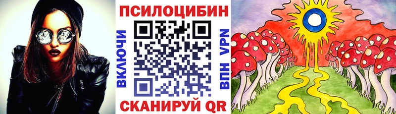 Псилоцибиновые грибы GOLDEN TEACHER  Купить закладки  Белокуриха 